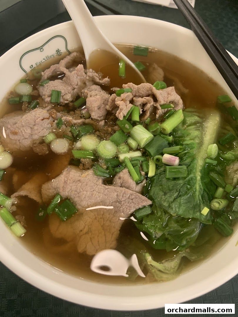Soong Kee Beef Noodle