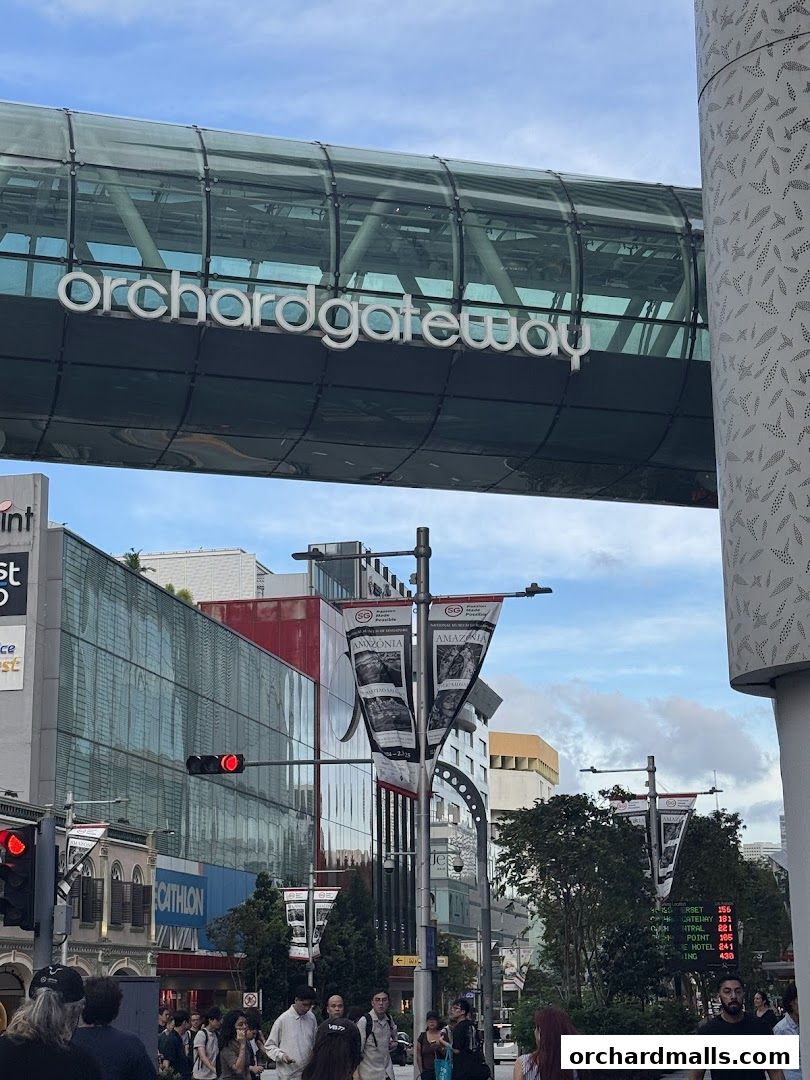 Soong Kee Beef Noodle