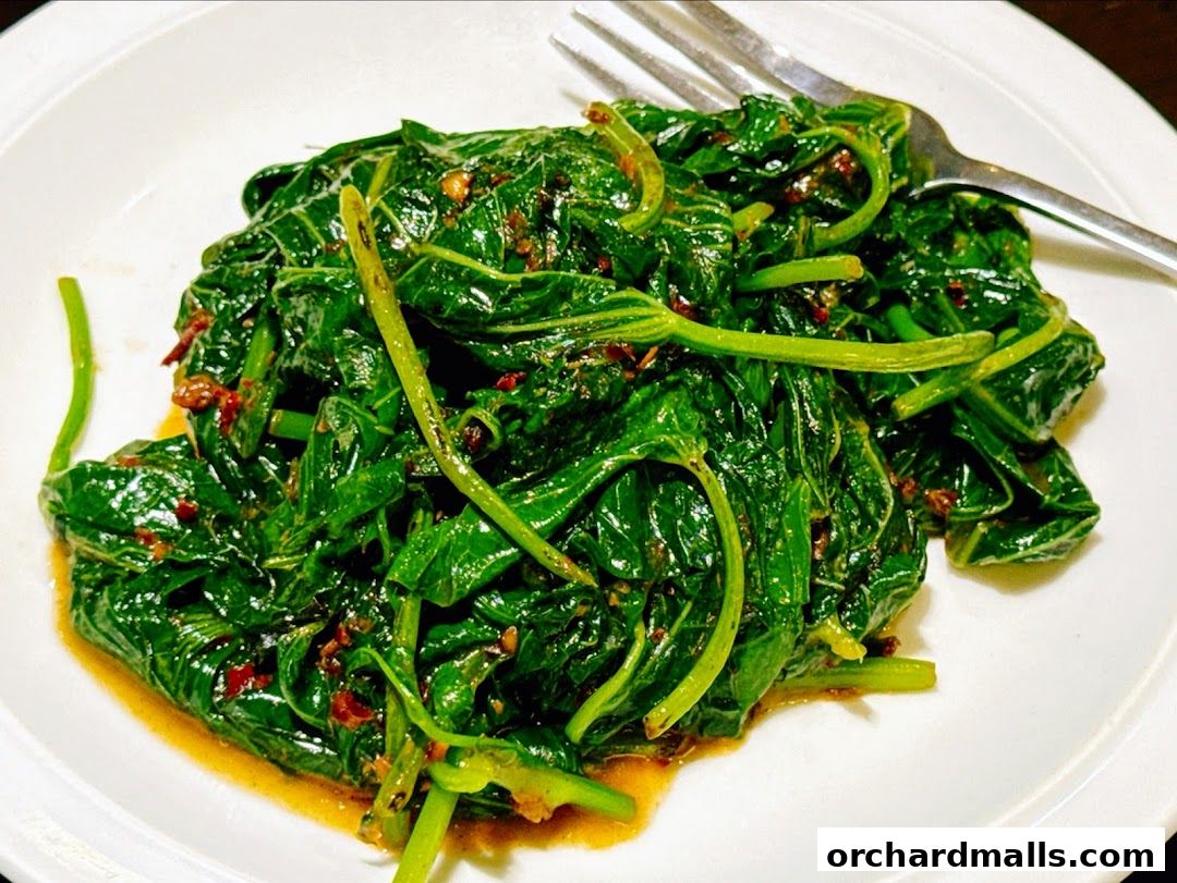 Soup Restaurant  Paragon