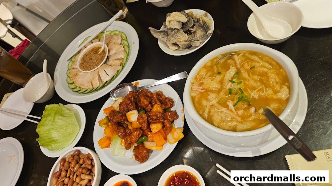 Soup Restaurant  Paragon