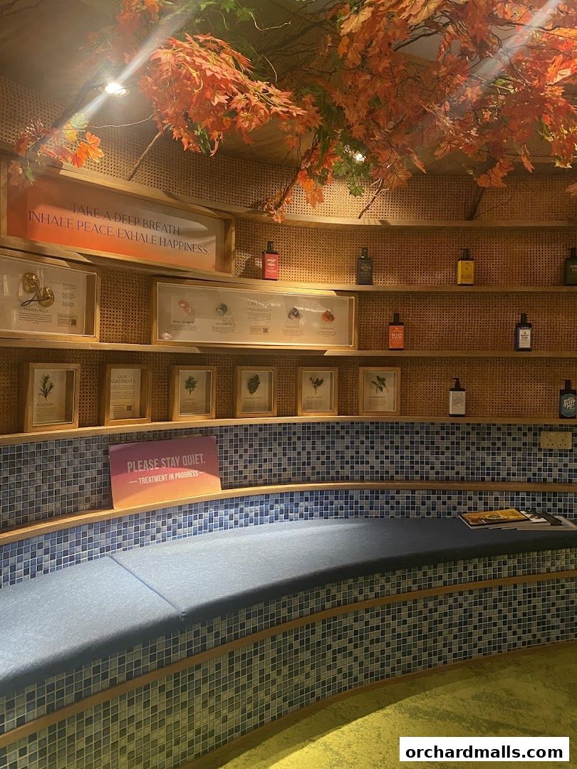 A serene spa waiting area with decorative foliage, product displays, and a comfortable seating bench.