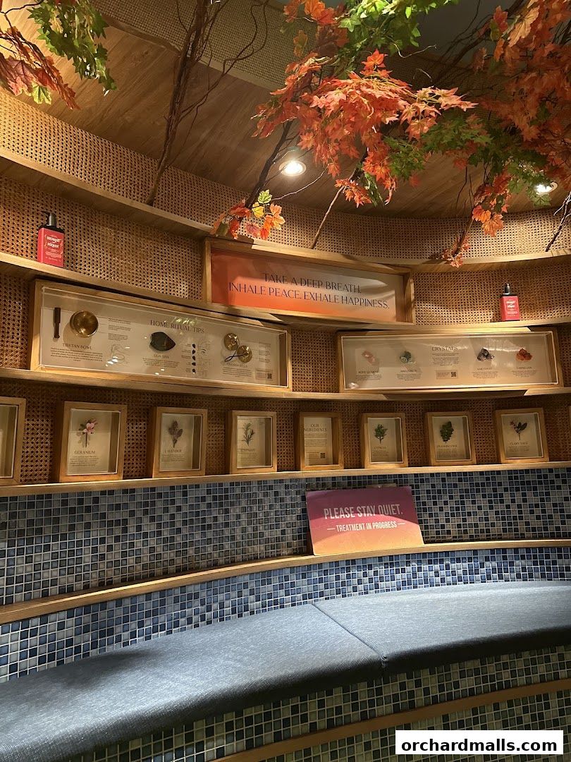 A spa's interior with shelves displaying botanical ingredients and inspirational quotes.