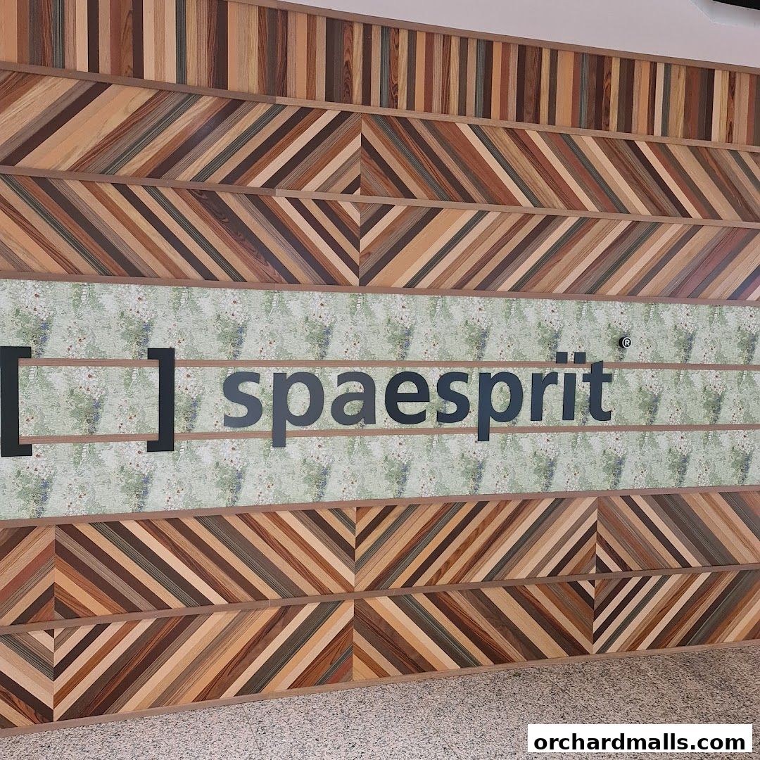 The Spa Esprit logo is displayed on a wall with a patterned background and wooden accents.