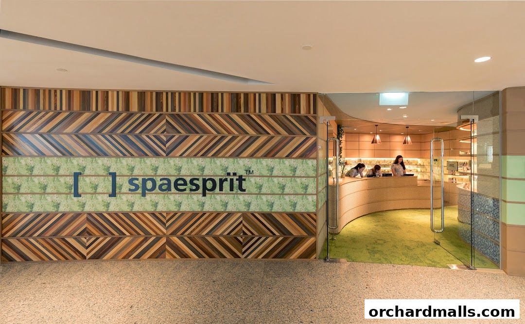 The entrance to Spa Esprit Wheelock Place, featuring a distinctive wooden facade and a welcoming reception area.