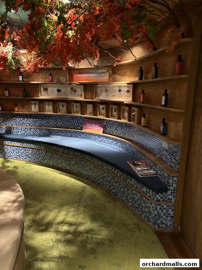 Interior of a spa with shelves displaying products and decorative foliage.