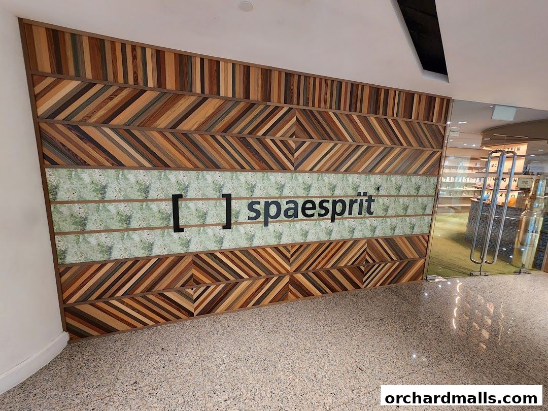Spa Esprit Wheelock Place entrance with a distinctive wooden mosaic wall and glass doors.