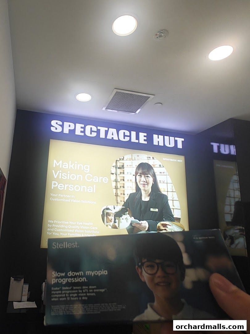 Spectacle Hut 313somerset