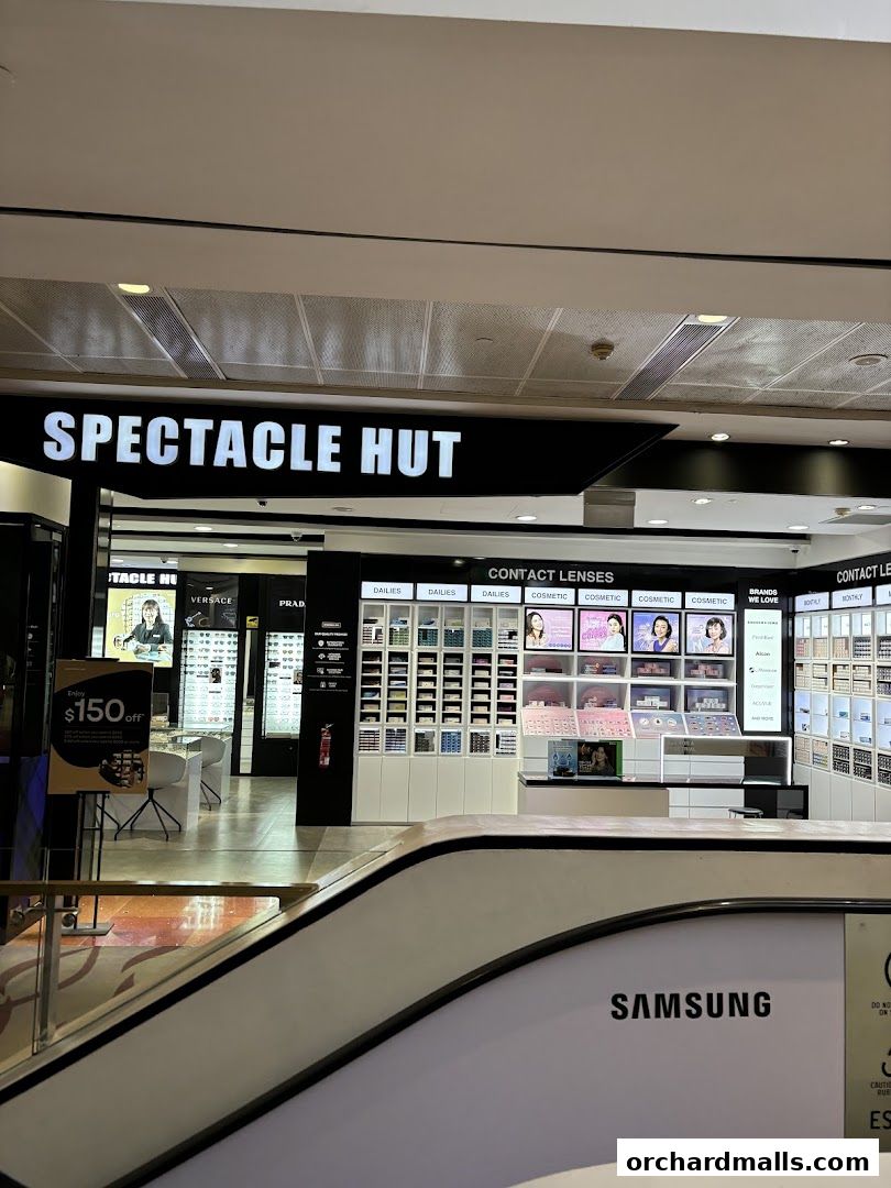 Spectacle Hut 313somerset