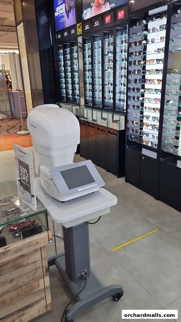 Spectacle Hut 313somerset