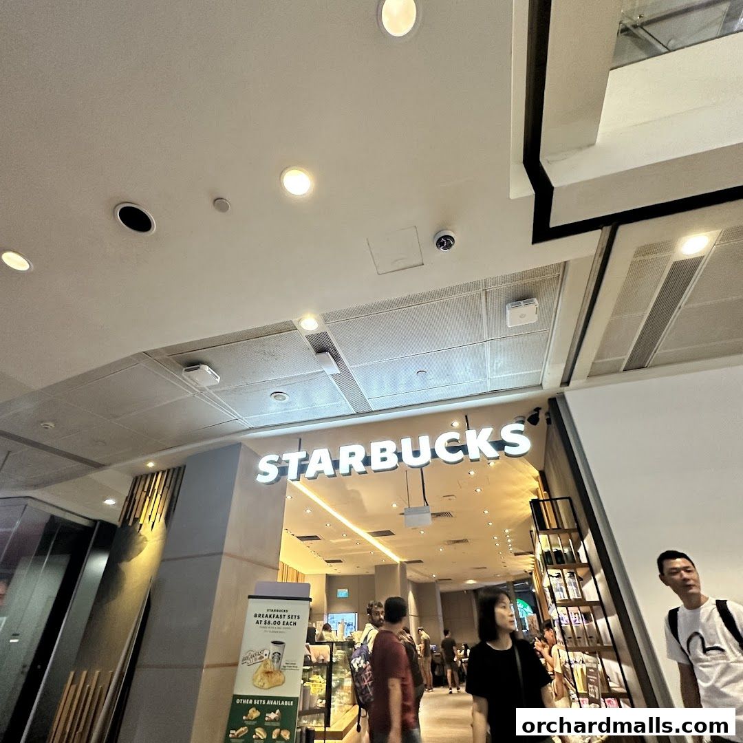 Starbucks 313somerset