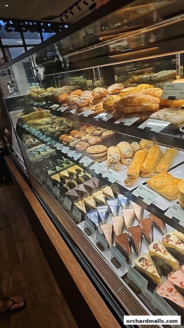 A display case filled with a variety of pastries, cakes, and savory items at Starbucks.