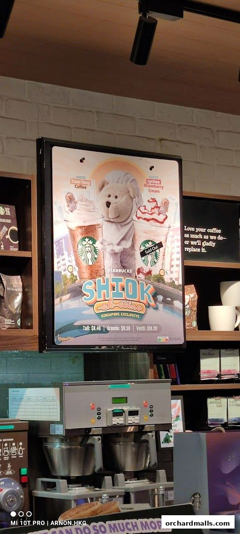 A Starbucks promotional poster featuring two drinks and a teddy bear, with pricing information.