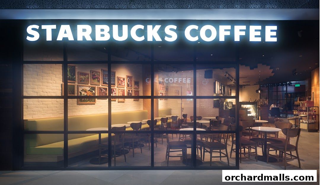 The exterior of a Starbucks coffee shop with a large glass window showcasing the interior seating.