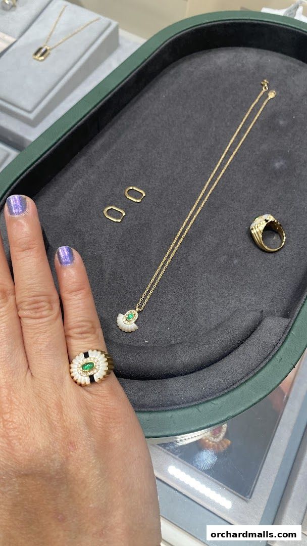 A hand wearing a ring displays exquisite jewelry, including a necklace and earrings.