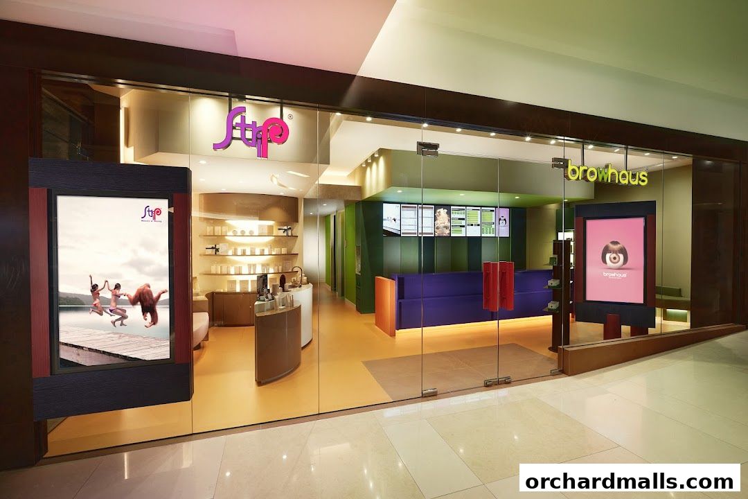 The entrance of Strip Co-Ed ION and Browhaus shops, showcasing their modern and inviting storefronts.