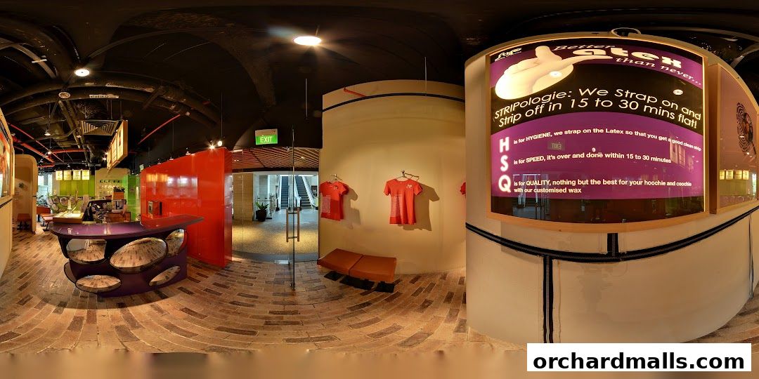 Strip Co-Ed Mandarin Gallery