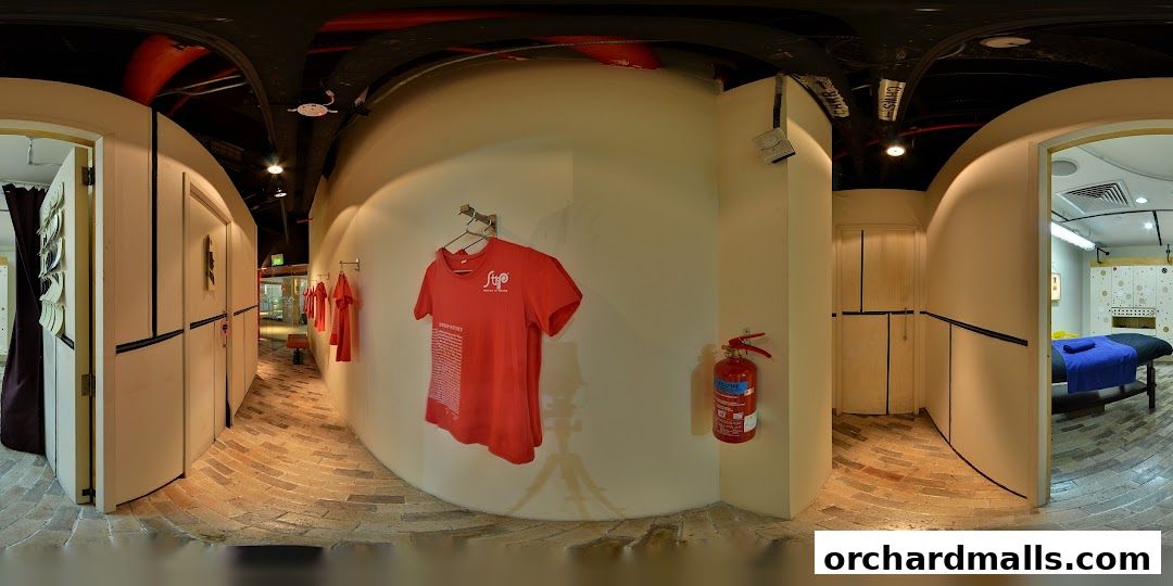 Strip Co-Ed Mandarin Gallery