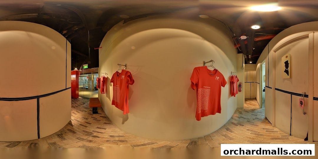 Strip Co-Ed Mandarin Gallery