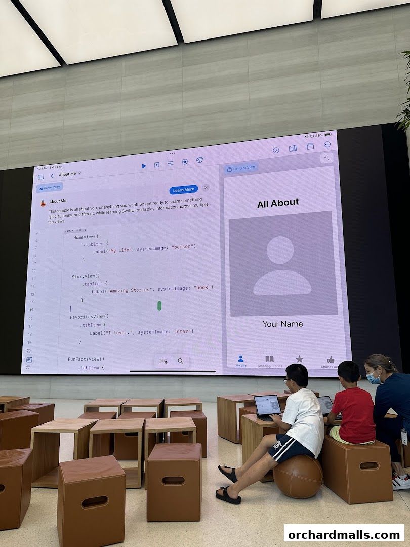 Strip Co-Ed Mandarin Gallery