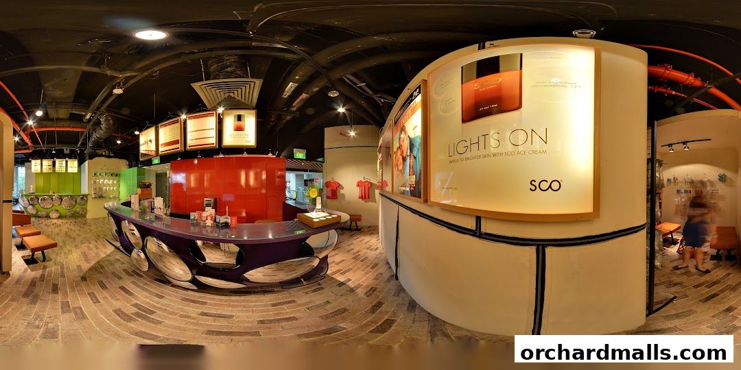 Strip Co-Ed Mandarin Gallery