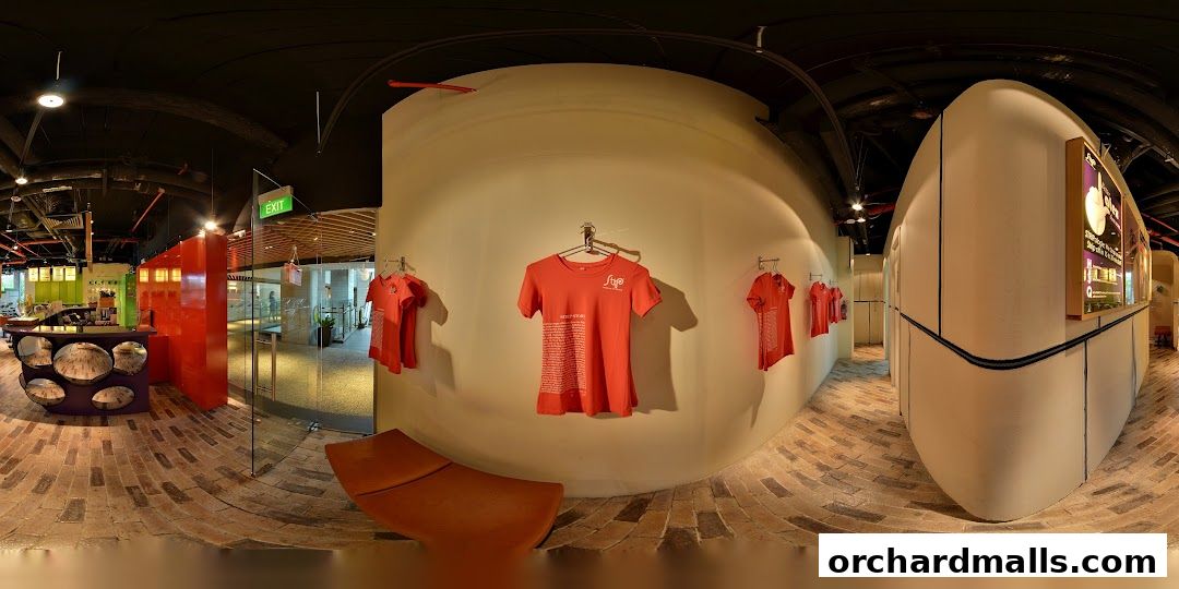 Strip Co-Ed Mandarin Gallery