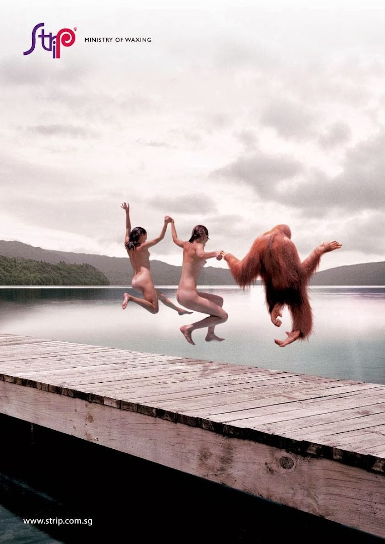 Strip Co-Ed Wheelock