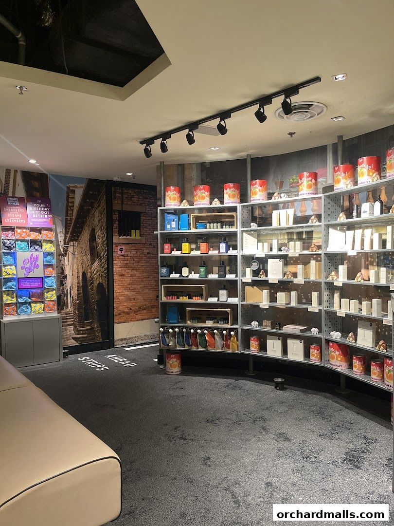 Interior view of a retail shop with shelves displaying various products and a seating area.