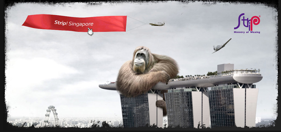 Strip Co-Ed Wheelock