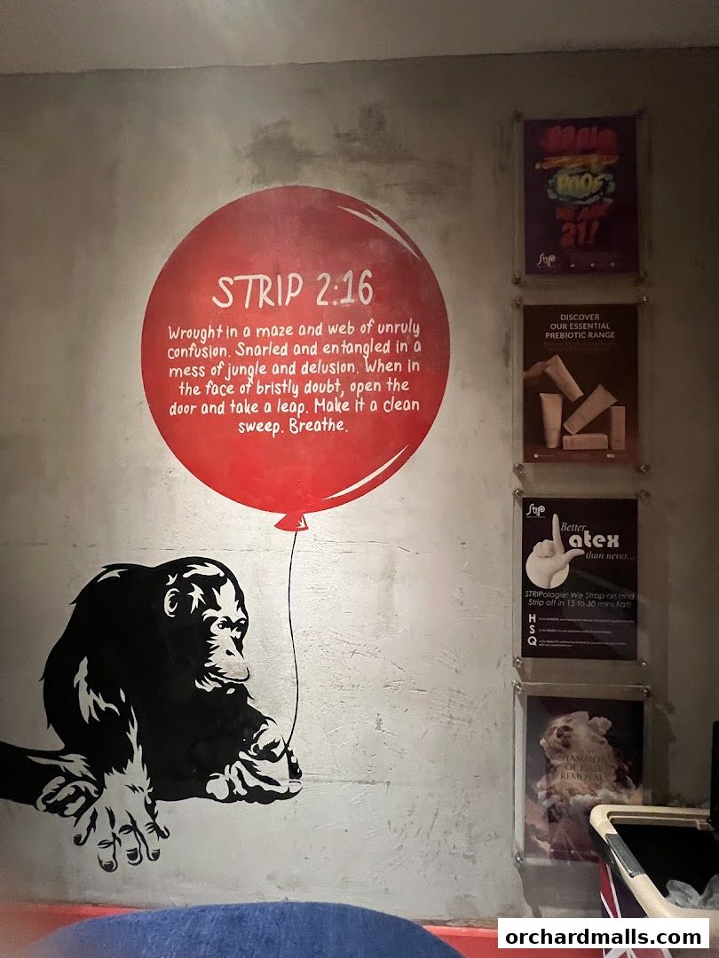 Wall art featuring a monkey, a red balloon with text, and framed posters.