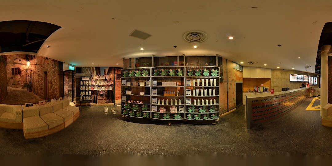 Strip Co-Ed Wheelock