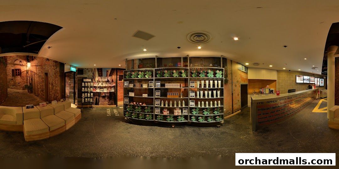 Interior view of a retail shop with shelves of products, a reception desk, and seating area.