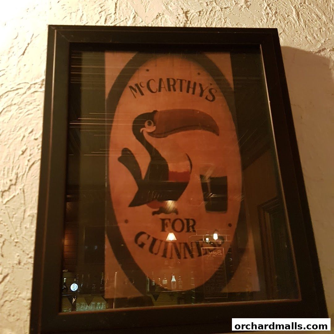 Framed artwork featuring a toucan and text for Guinness.