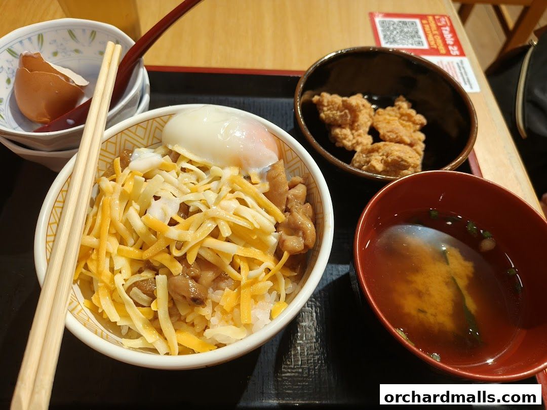 Sukiya Gyudon  Curry 313somerset