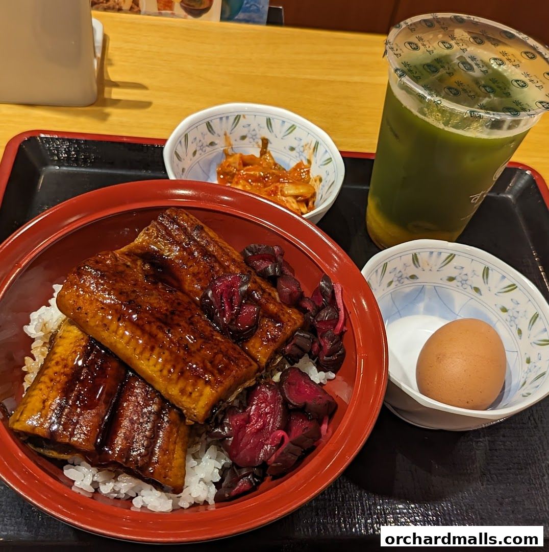 Sukiya Gyudon  Curry 313somerset