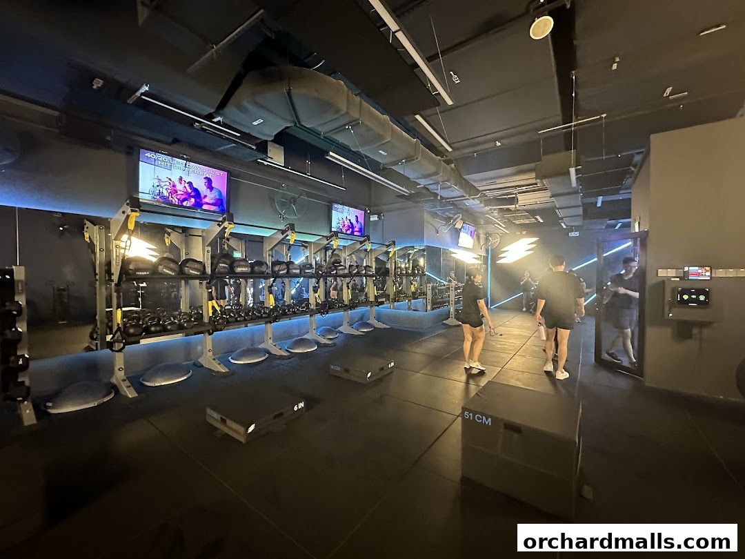 SUMHIIT Orchardgateway