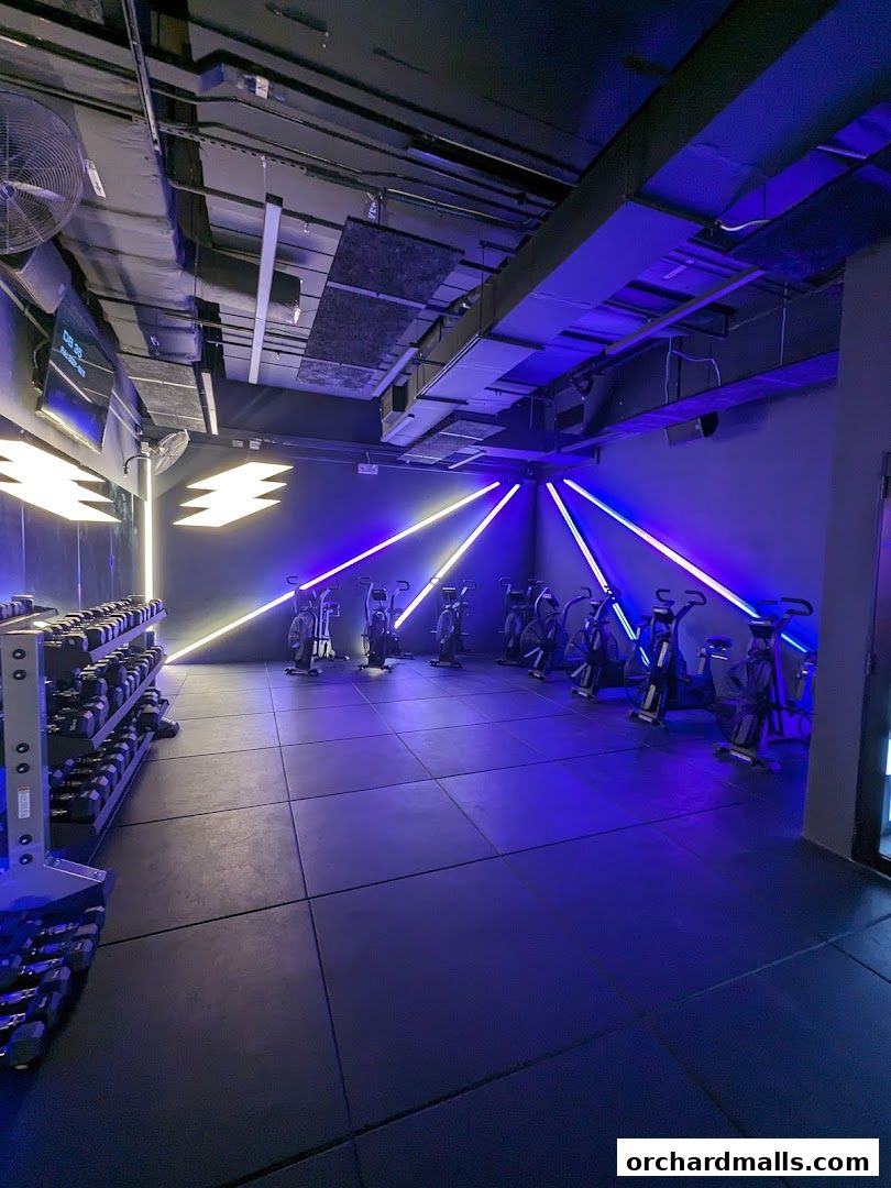 SUMHIIT Orchardgateway