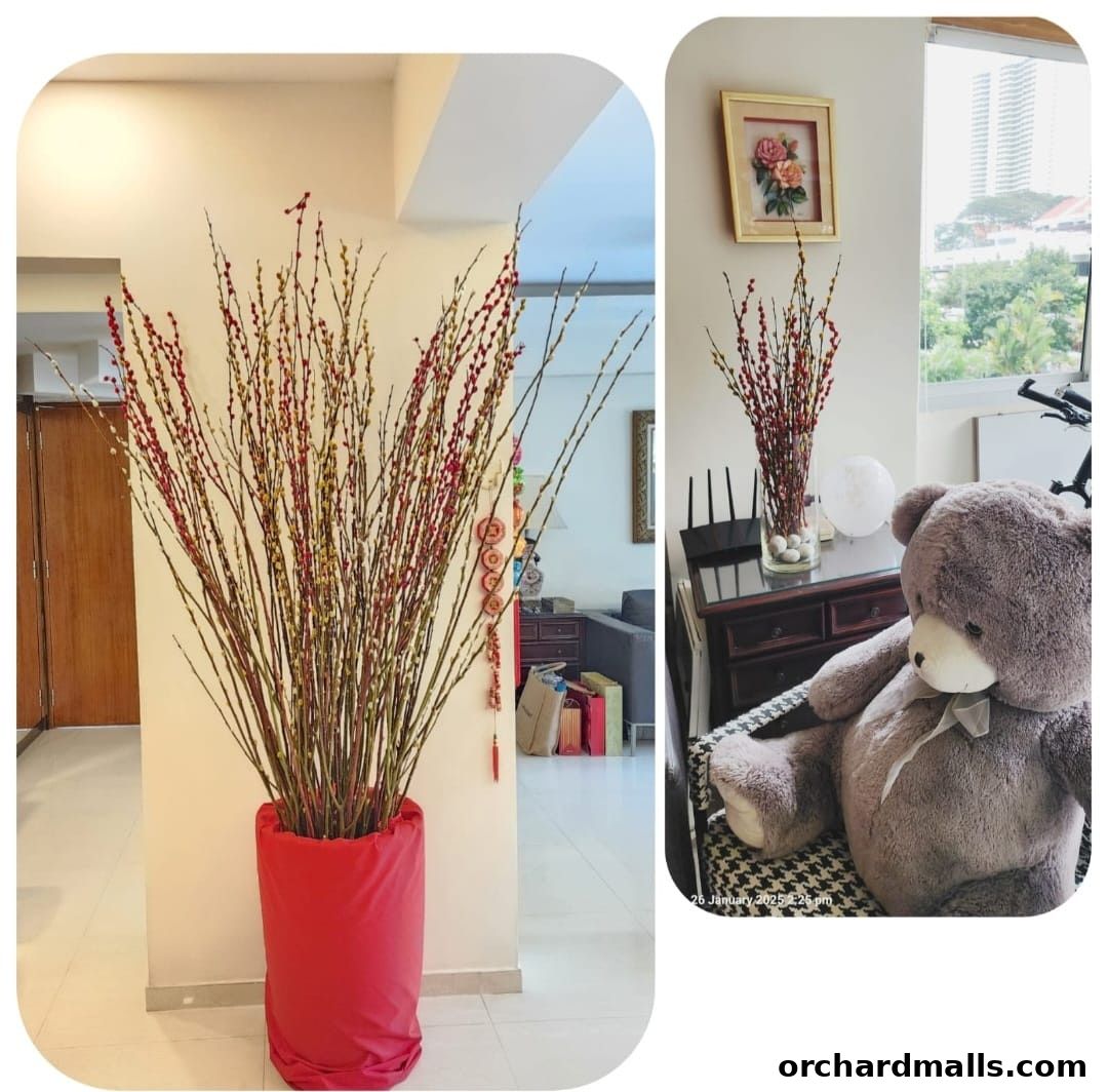 Sunscape Integrated Services Pte Ltd