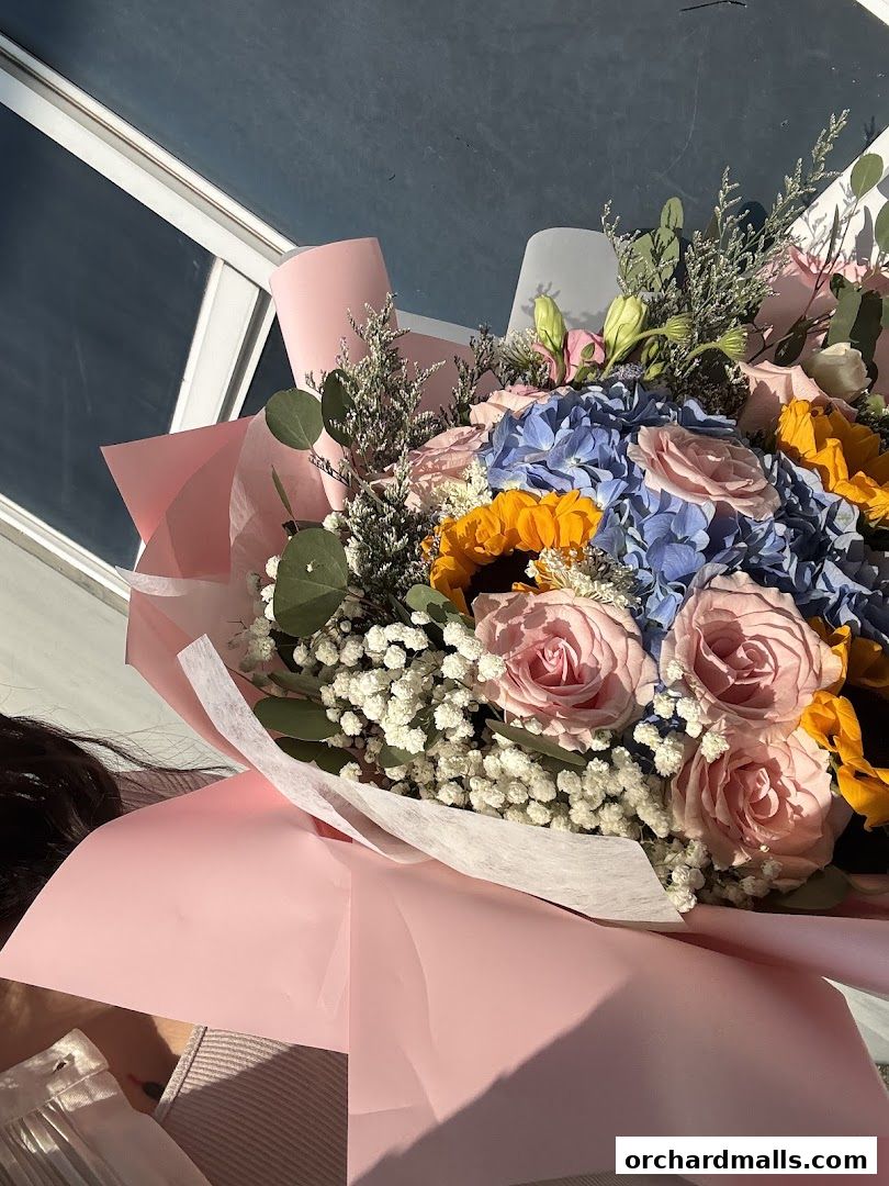 Sunscape Integrated Services Pte Ltd