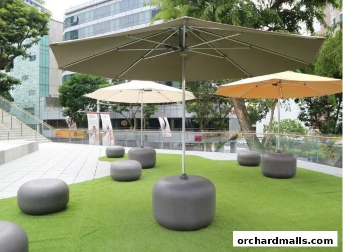 Sunshine Education And Food Imports