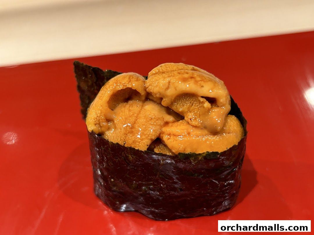 Sushi Ryujiro Singapore