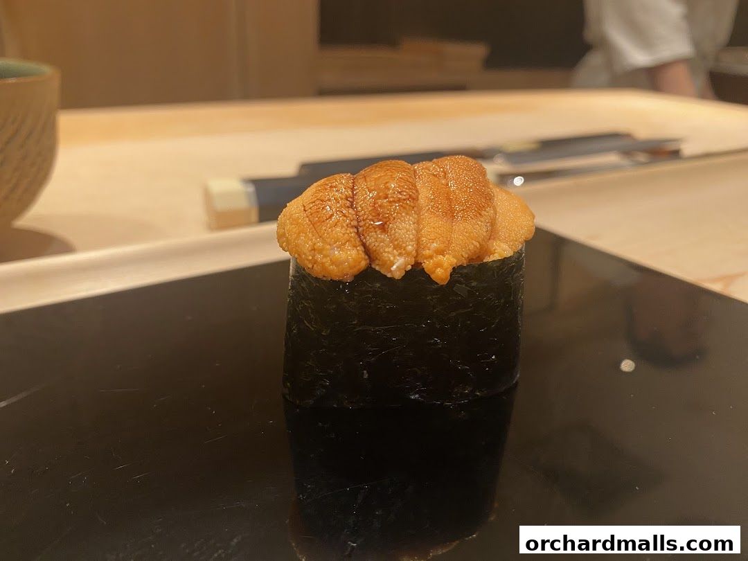 Sushi Ryujiro Singapore