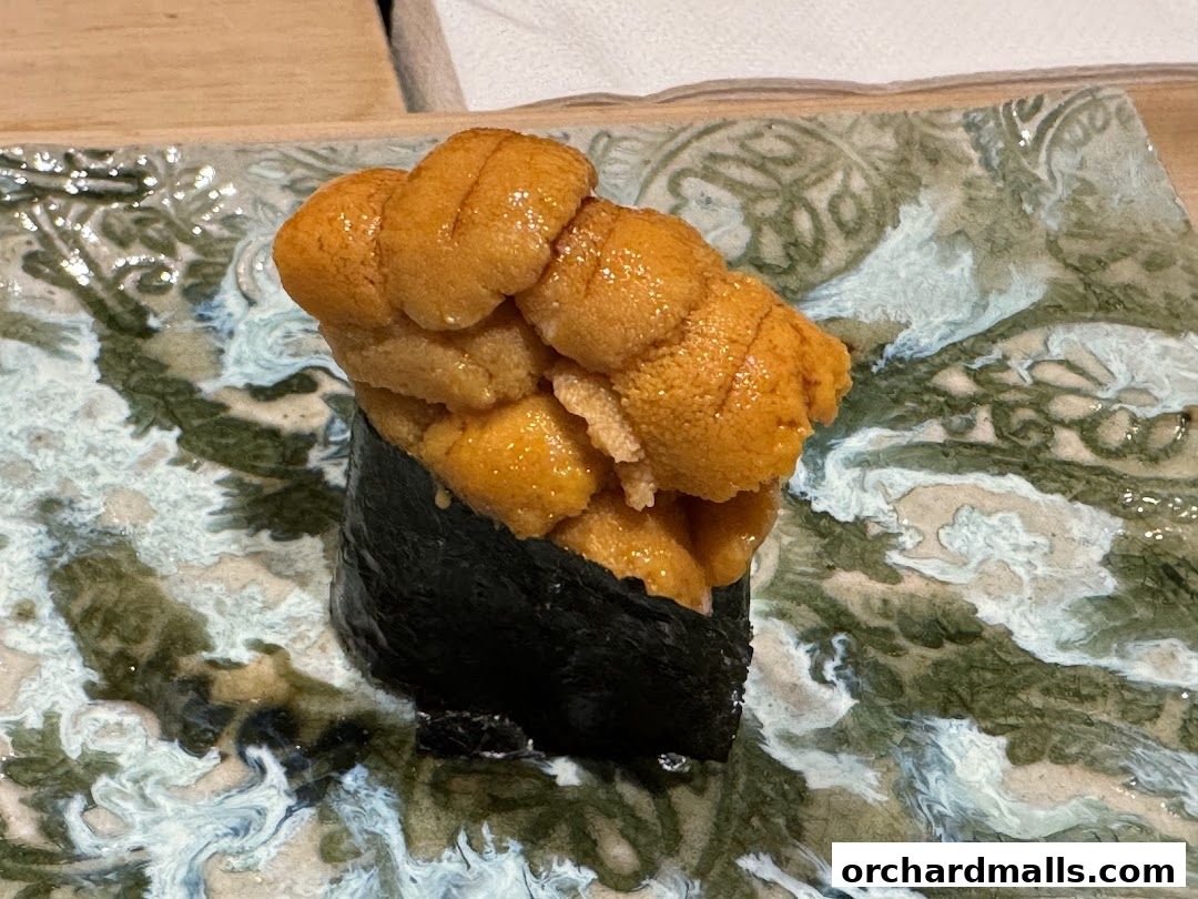 Sushi Ryujiro Singapore