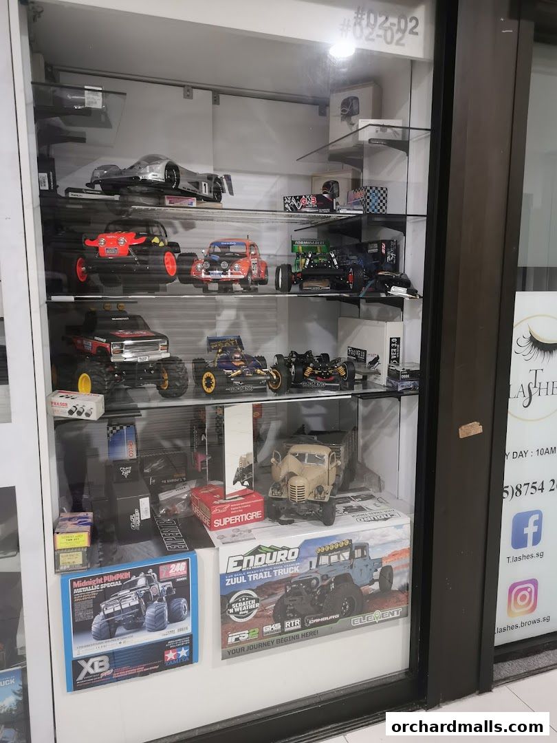 Display case filled with various model cars, trucks, and accessories.