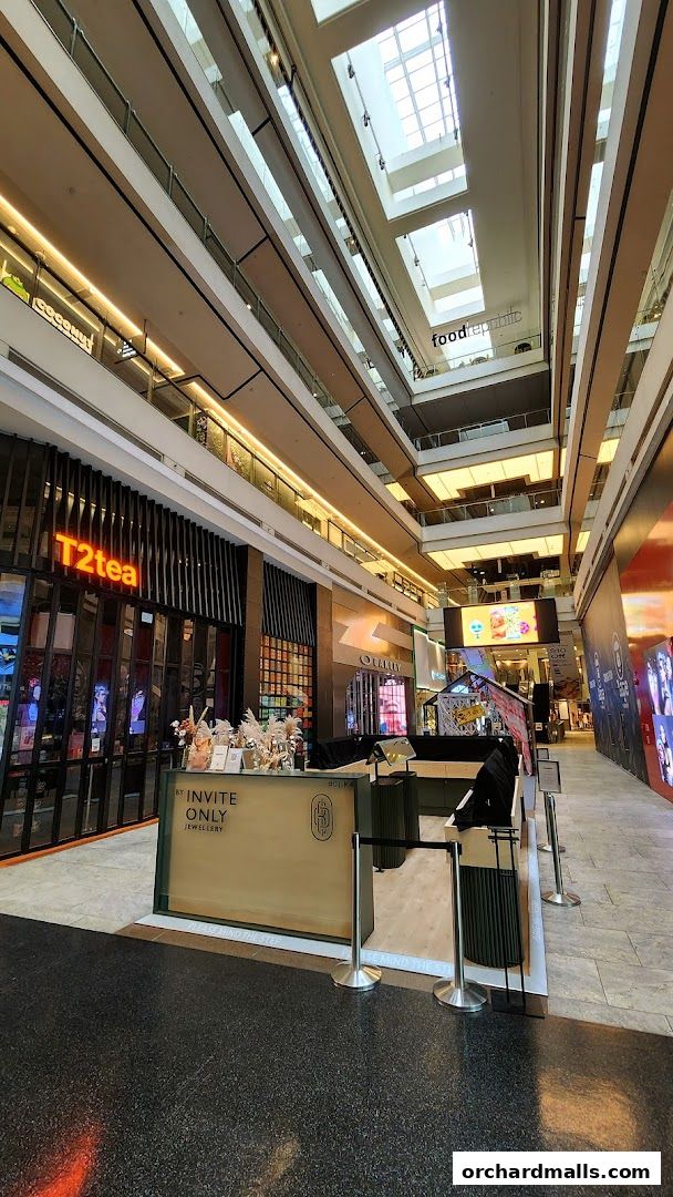 T2 Tea - 313 Somerset