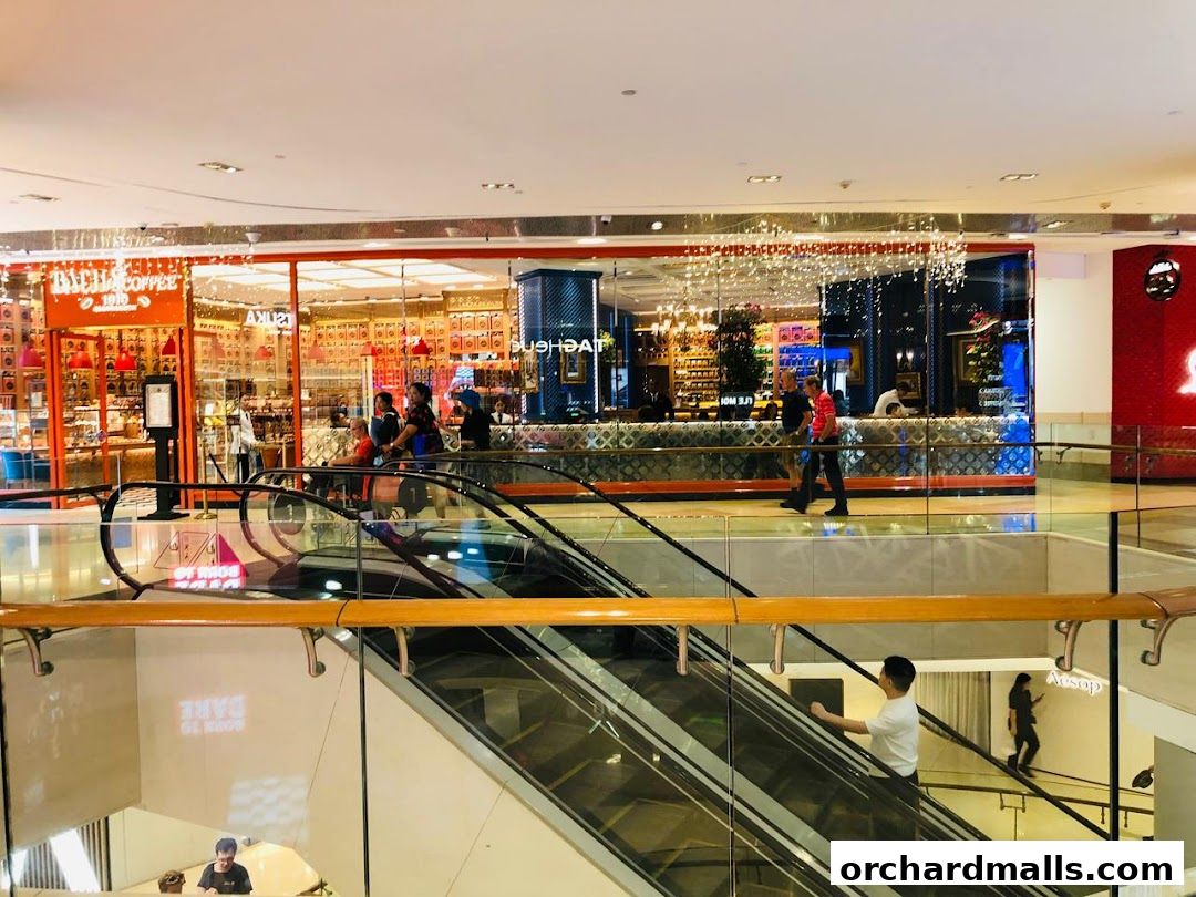 A busy shopping mall interior with escalators and various shop fronts visible.