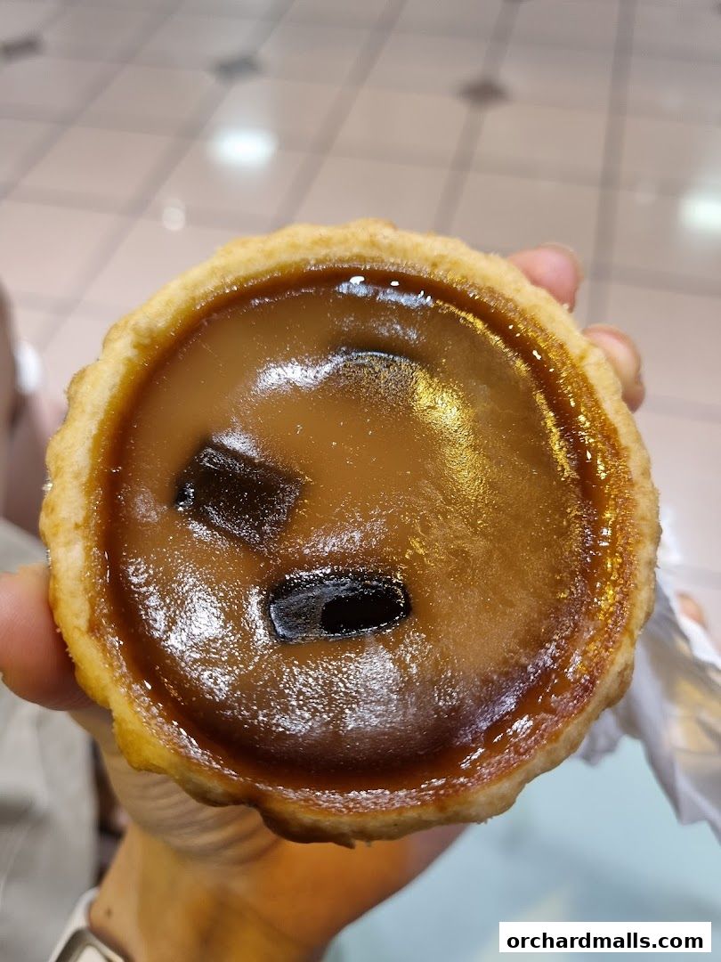 A hand holds a delicious-looking caramel tart with dark chocolate pieces.