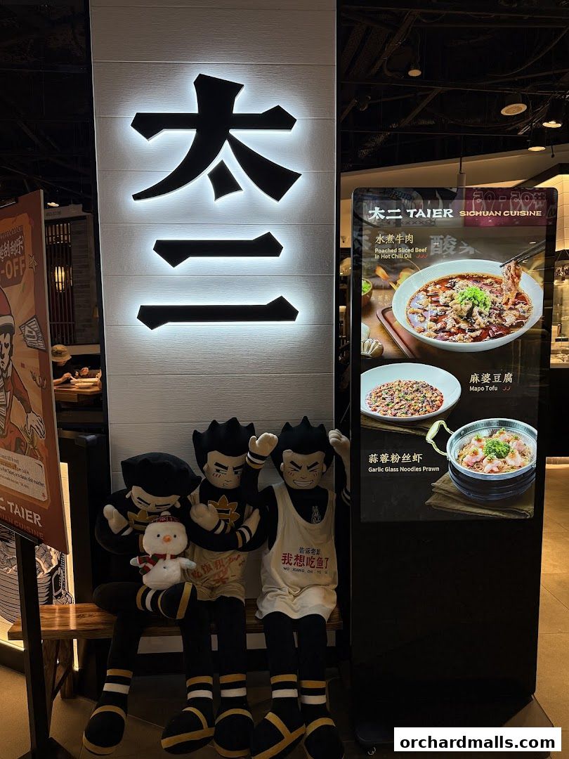 TAI ER 太二酸菜鱼 313somerset