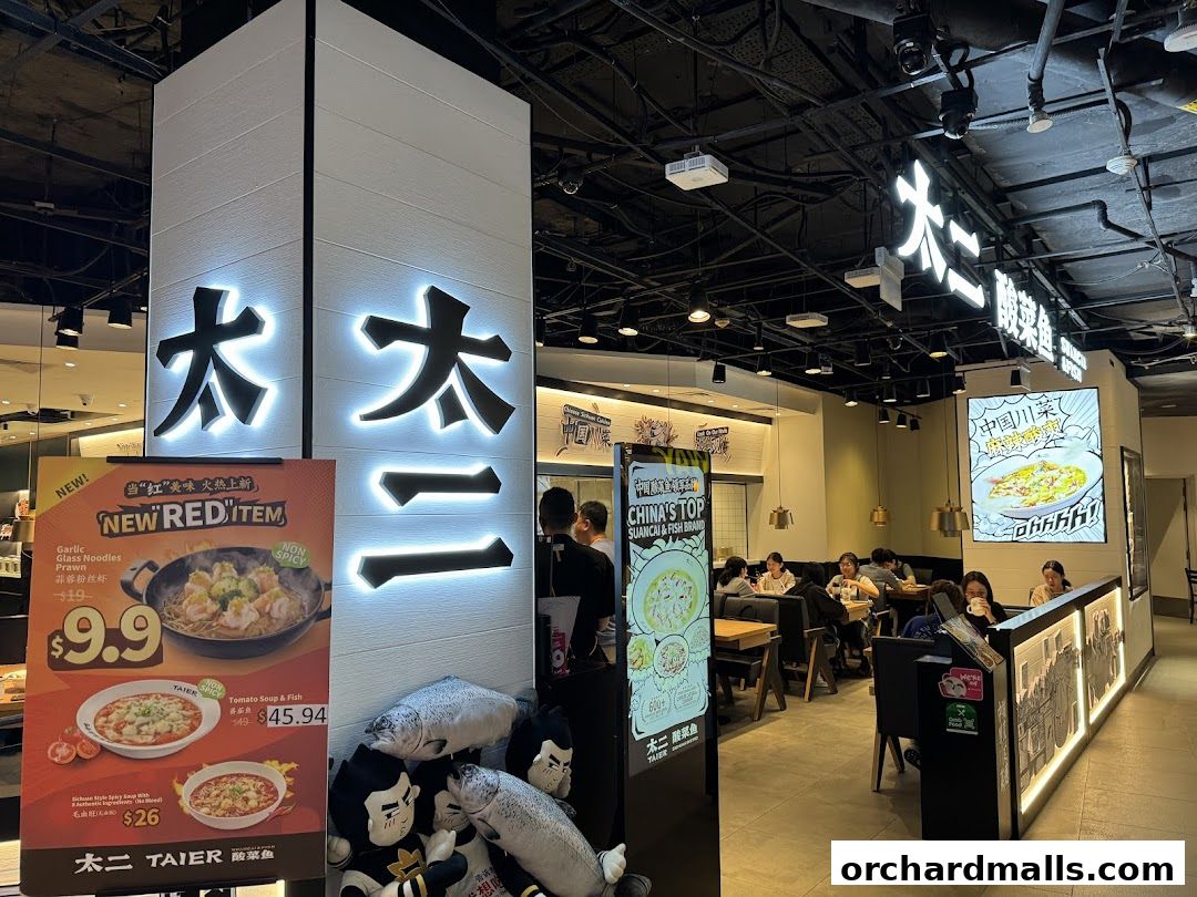 TAI ER 太二酸菜鱼 313somerset