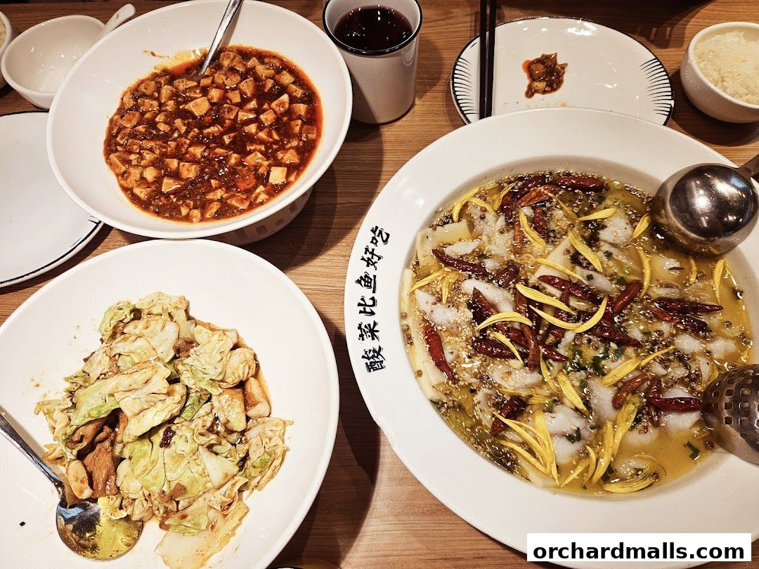 TAI ER 太二酸菜鱼 313somerset