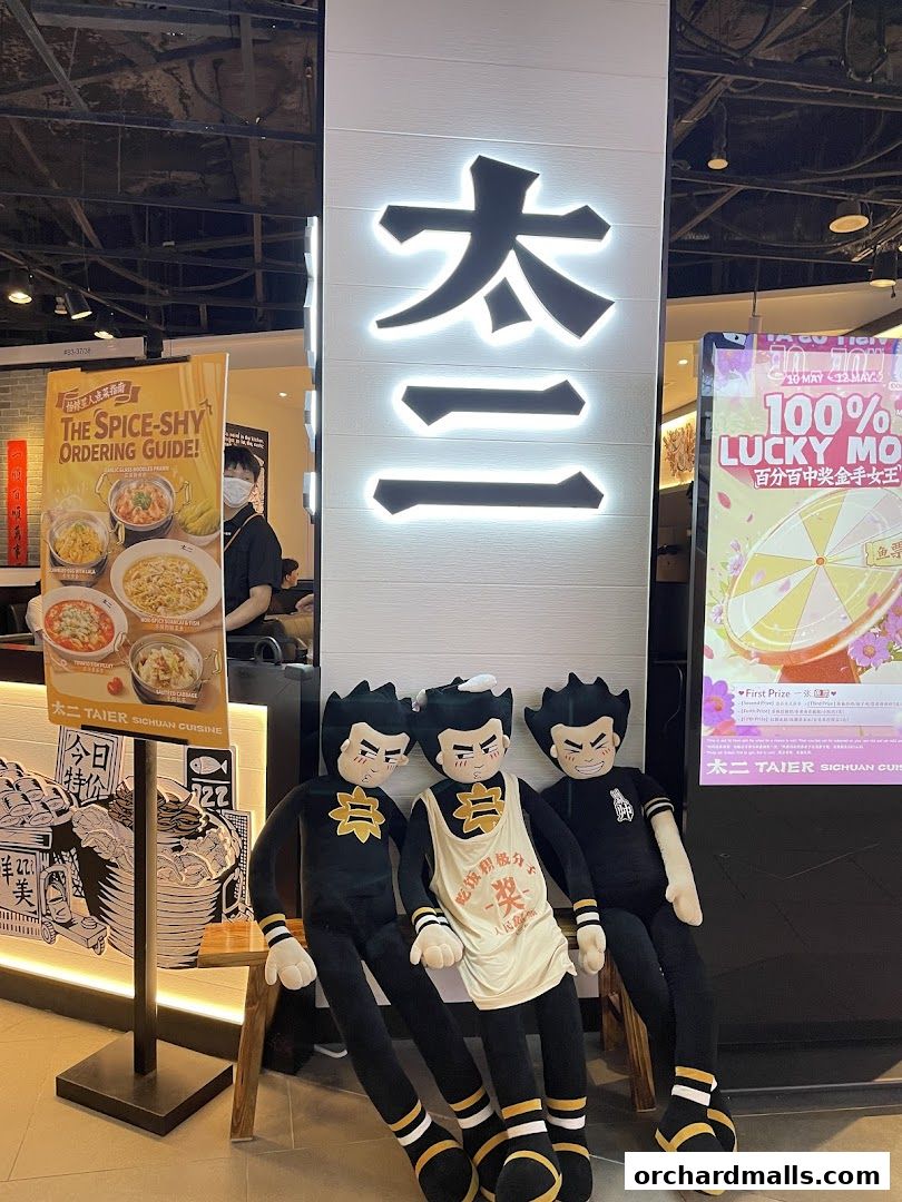 TAI ER 太二酸菜鱼 313somerset